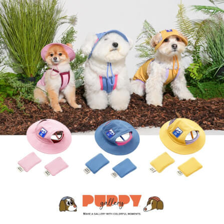 หมวกสัตว์เลี้ยง PUPPY GALLERY ไซซ์ XL สีฟ้า มาพร้อม Cooling Pads_2